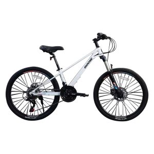 24Xingmei High Quality 24 Inch 21 Speed Adult Bicycle Mountain Bike 1