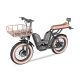 Z-3 1000W 48V 22Ah 52kmh Extended Seat Lithium Battery Electric Bike 2