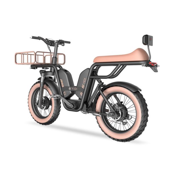 Z-3 1000W 48V 22Ah 52kmh Extended Seat Lithium Battery Electric Bike 3