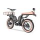 Z-3 1000W 48V 22Ah 52kmh Extended Seat Lithium Battery Electric Bike 3