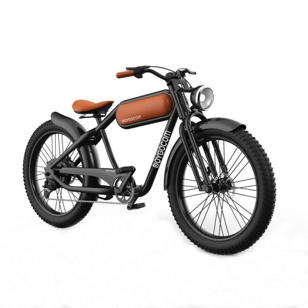 XY 500W-1000W 48V 15Ah 50KmH Lithium Battery Electric Bike 2