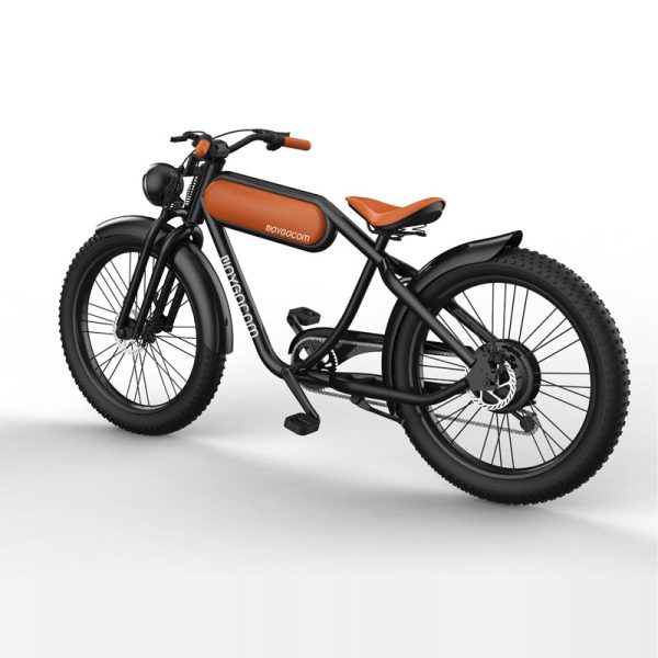 XY 500W-1000W 48V 15Ah 50KmH Lithium Battery Electric Bike 4