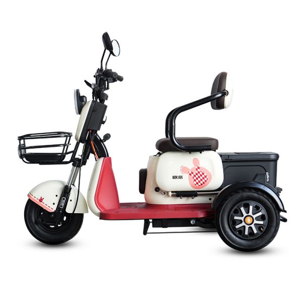 Electric Passenger Tricycle T3 500W 48V60V 20Ah 25kmh images02