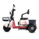 Electric Passenger Tricycle T3 500W 48V60V 20Ah 25kmh images02